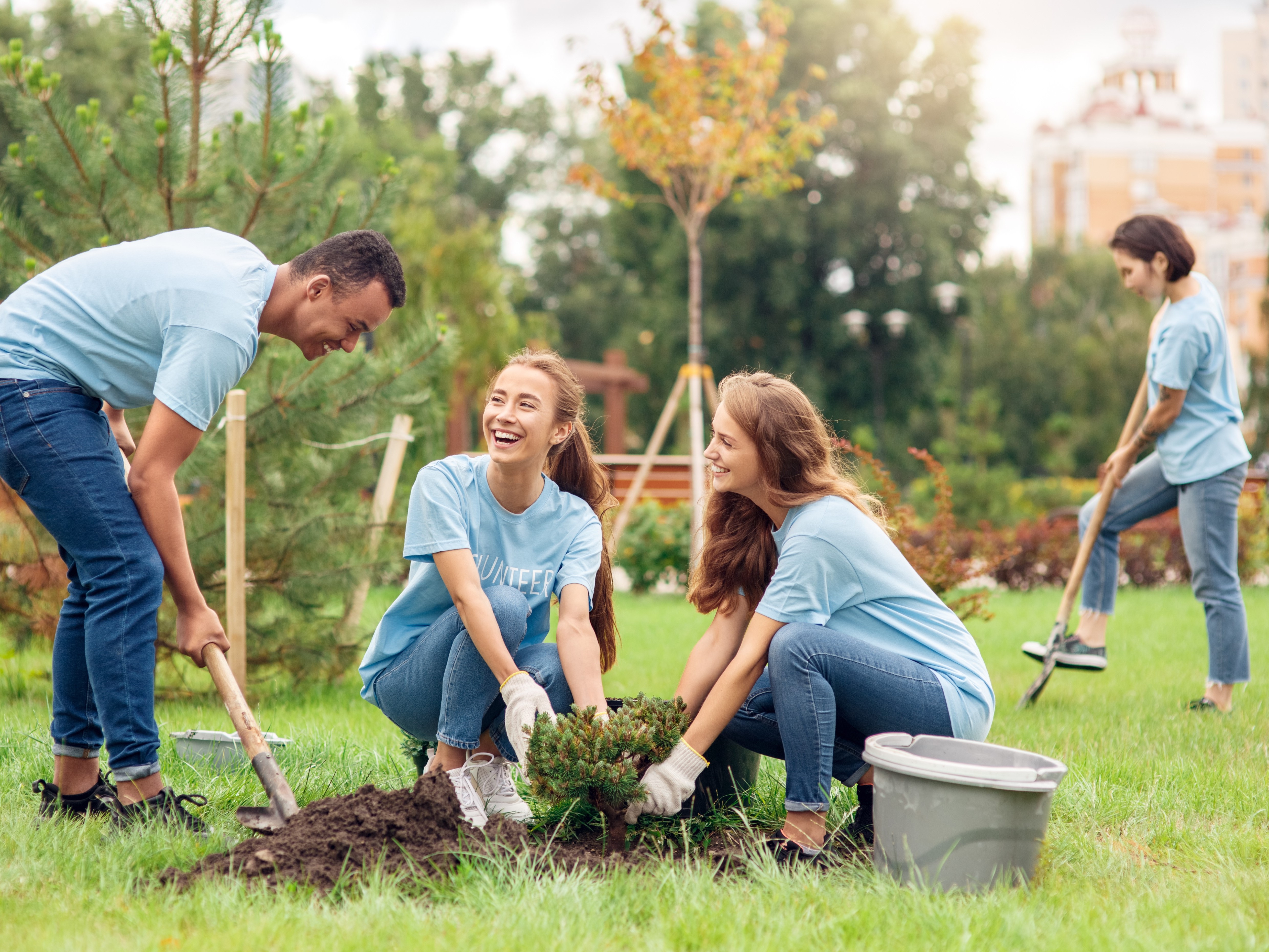 Volunteers are smiling while planting bushes in a park