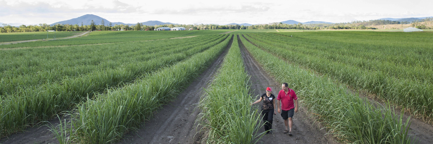 Sustainable Agriculture